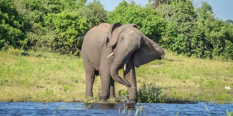 صورة - Botswana & Victoria Falls Adventure