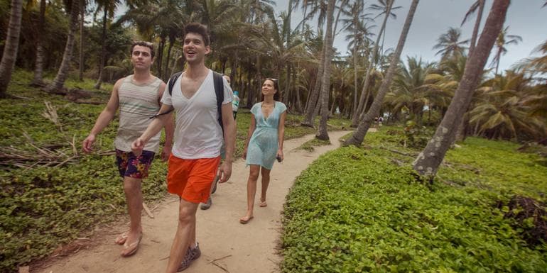 Imatge - Classic Colombia