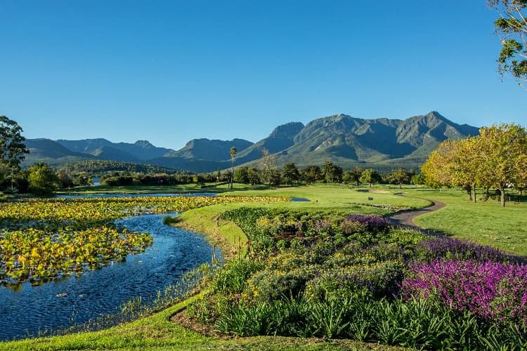 Immagine -  7N Fancourt + 7 GF