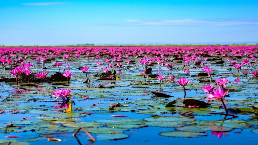 Image - Nord-Isaan und der Mekong, Kleingruppentour