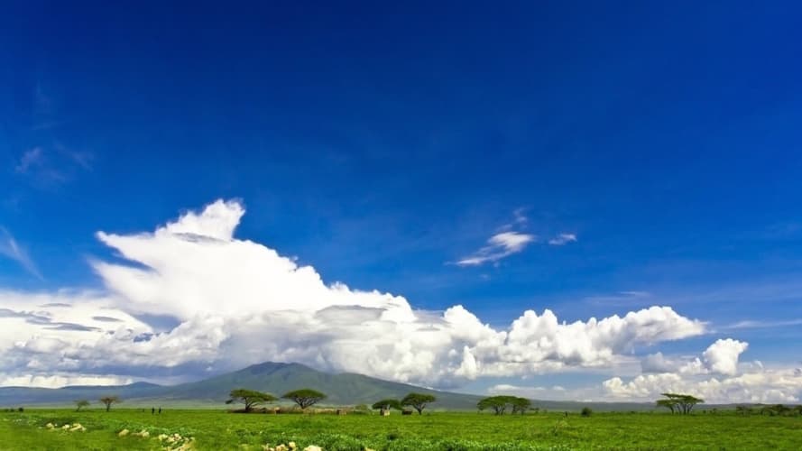 Immagine - Kifaru Safari - Serena Lodges