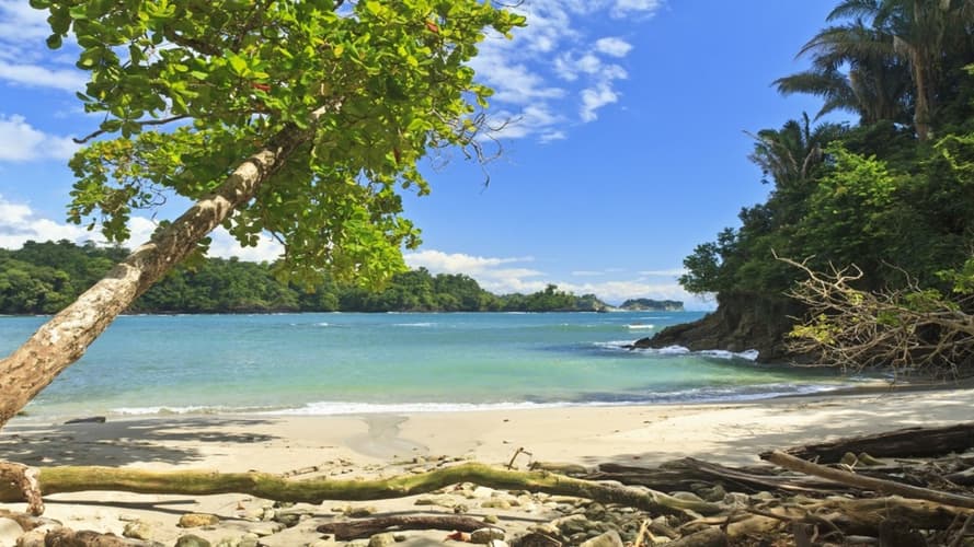 Image - Manuel Antonio Beach & San José City, Short Break