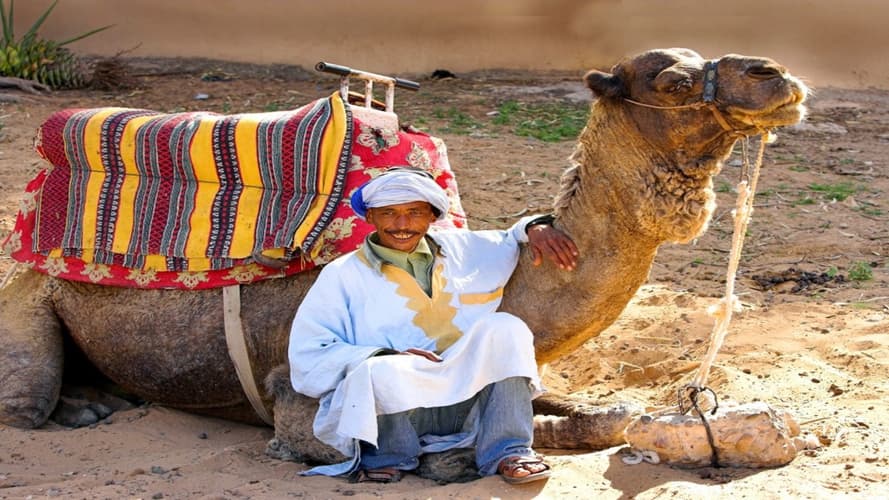 Image - Ouarzazate Übernachtung, 2 Tage, Privattour