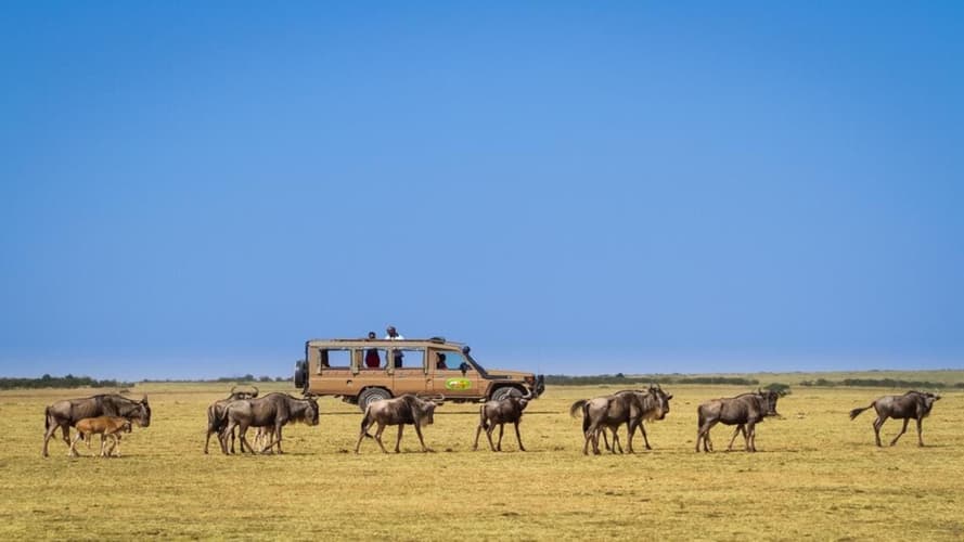 Immagine - Da Masai Mara Alla Spiaggia di Watamu