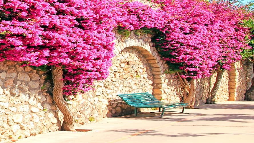 تصویر - Circuit en étoile sur la Riviera d'Ulysse