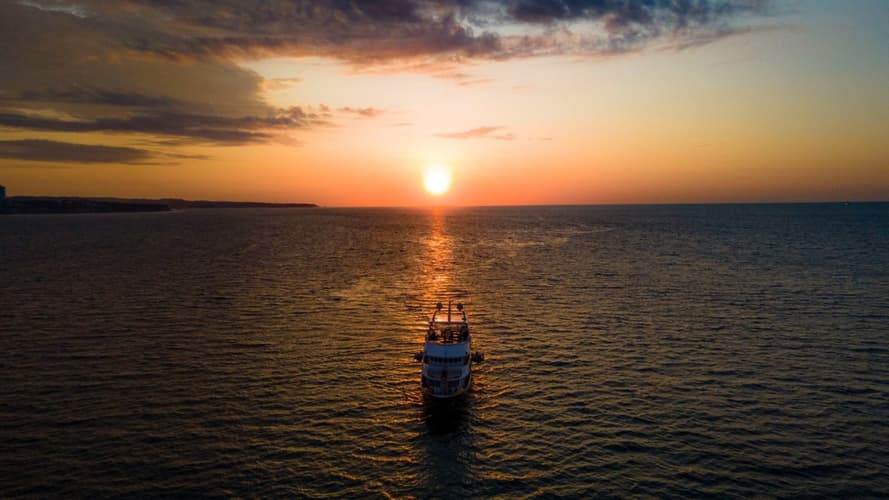 Image - From Jungle to Coast