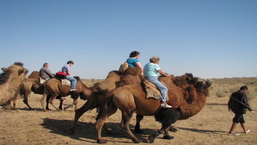 Immagine - Caravan Tour Uzbekistan with Yurta Camping and Aydarkul Lake