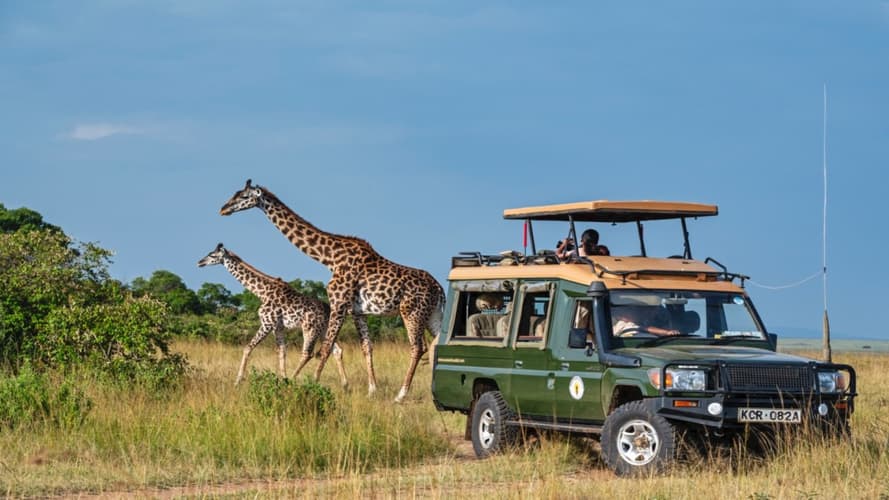 Billede - Kenya Safari & Extension sur l'île de Lamu 4*