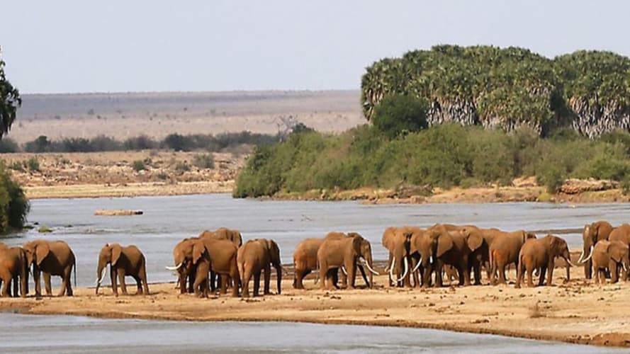 Immagine - Flamingo Beach Resort & 1 Night Tsavo East Safari