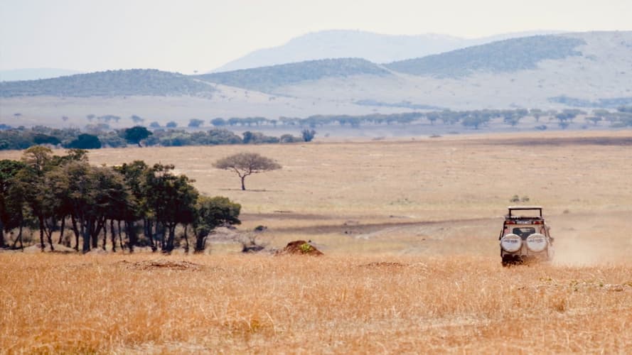 Immagine - Tarangire - Ngorongoro Adventure