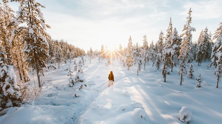 Image - Séjour Multi-activités à Rovaniemi