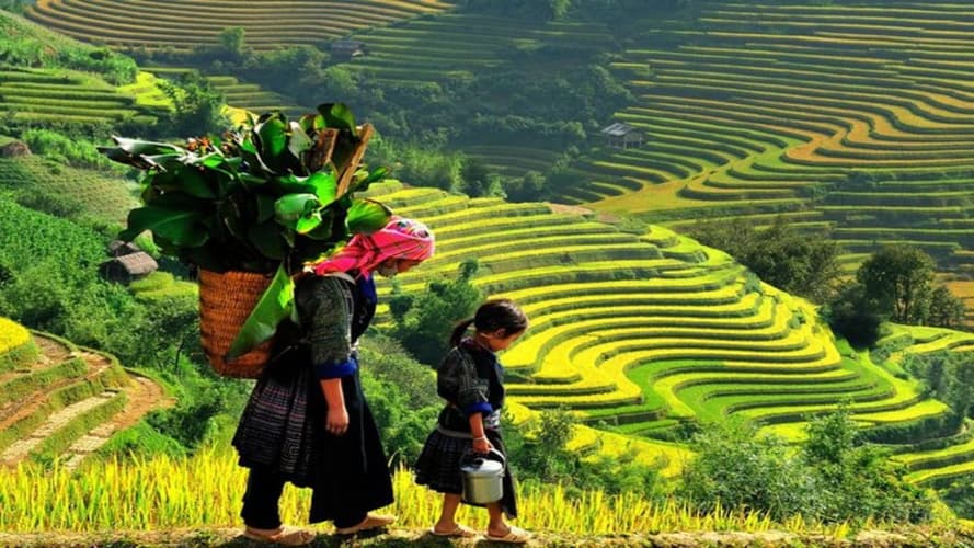 Billede - Vietnam Northern Icons 8Days/7Nights