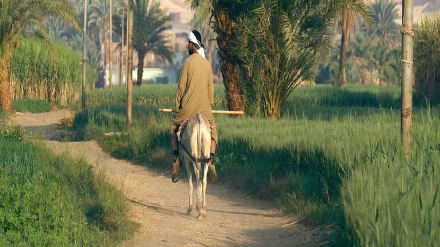 Imagem - Trilogie Egyptienne