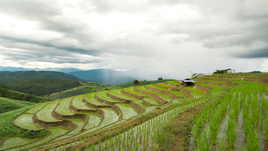 Image - Paquete 3 noches en Chiang Mai