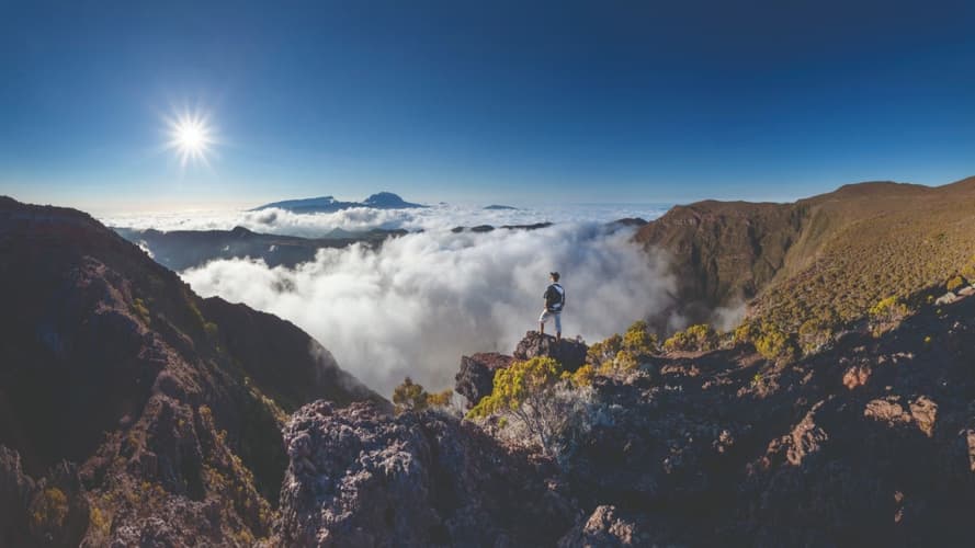 Immagine - Découverte Métis 2026