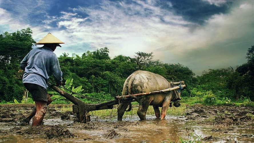 Image - Merveilles de Bali avec Nusa Penida