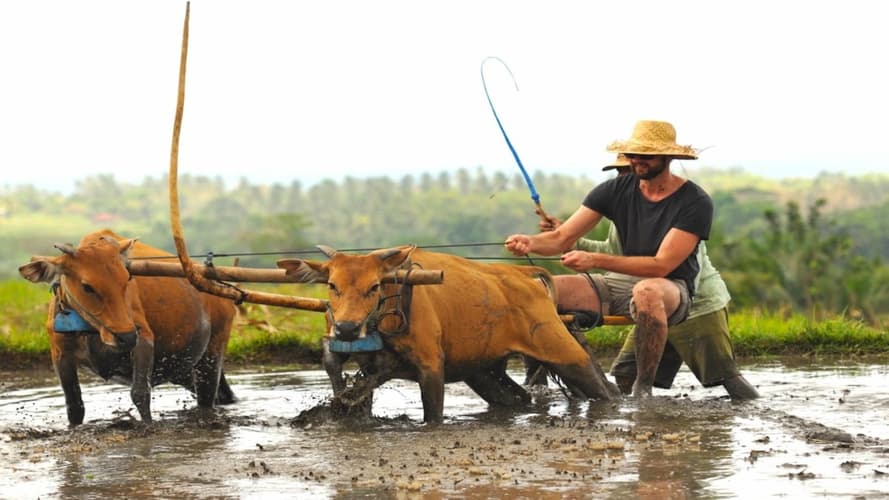 Imej - Kebon Agung Tour
