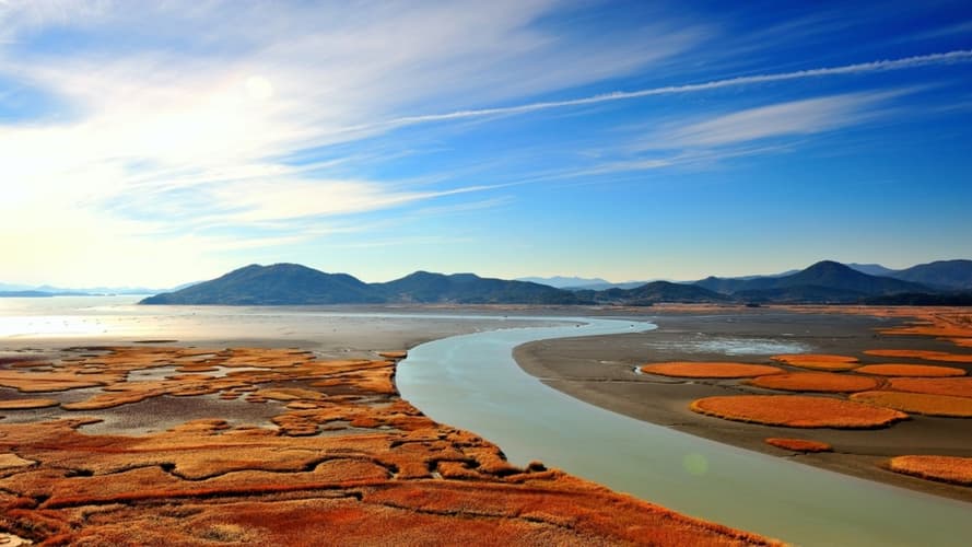 Immagine - Circuit individuel : Corée intégrale