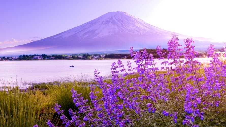 Образ - Circuit individuel : Monts et mers veillent en 3*