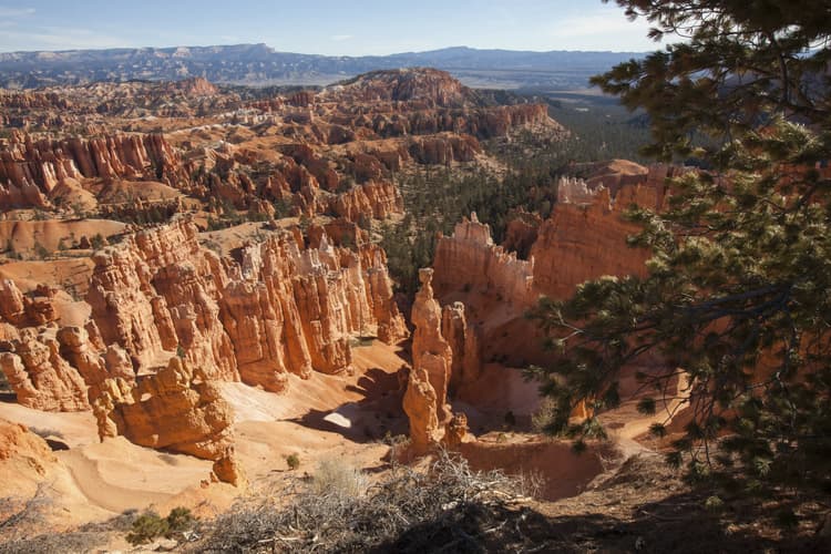 Imagen - TeamTour West desde Los Ángeles