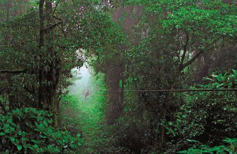 Image - Costa Rica Totalmente Natural