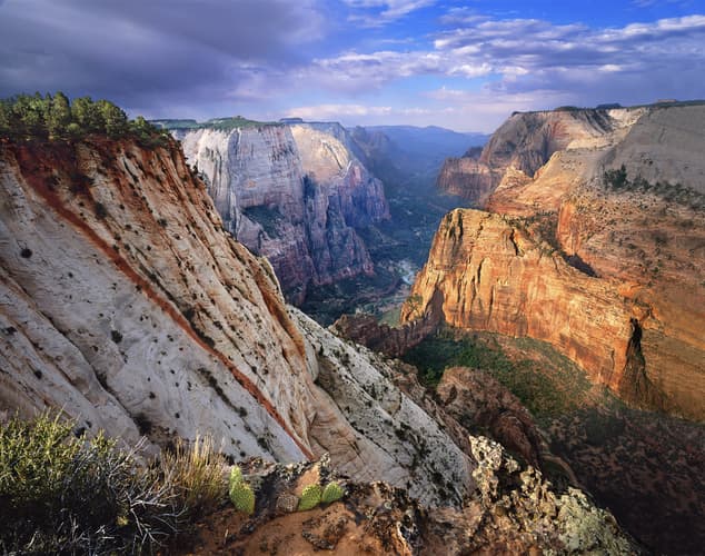 Imagen - TeamTour West Complete + Mini Yosemite & San Francisco