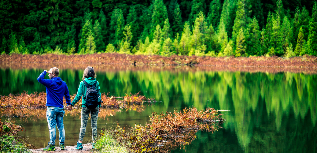 Image - 250193 - Açores: Azoris Faial Garden | Especial Lua de Mel