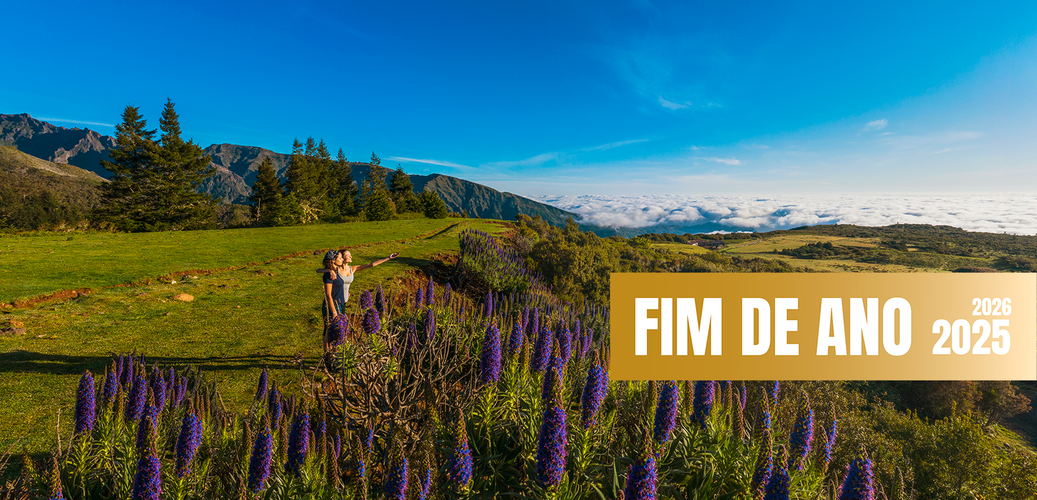 Imagem - 250220 - Funchal - Fim de Ano Regulares (PAR)