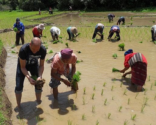 Bild - 3 Days / 2 Nights Trek Mae Hong Son