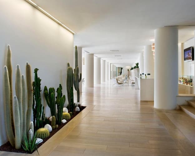 Image - 8 N Versilia Lido UNA Esperienze