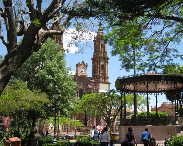 Imagen - Mariposa Monarca y Valle de Bravo