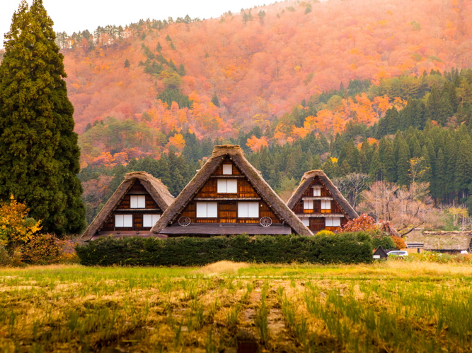 Imagen - Súper Japón.