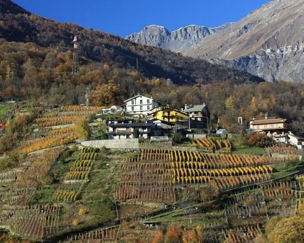 Immagine - CNA - A Susa e dintorni fra Storia, pane, vino e distillati