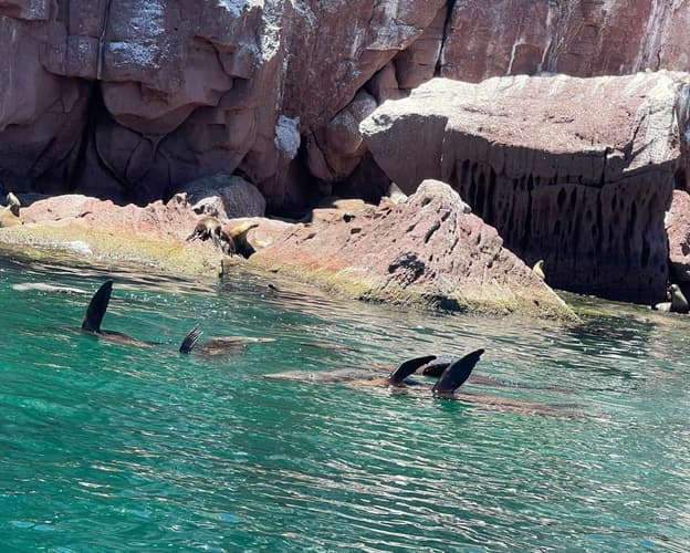 Imagen - PAQUETE PARA DISFRUTAR LA PAZ POR 4 DÍAS + TOUR ESPIRITU SANTO 