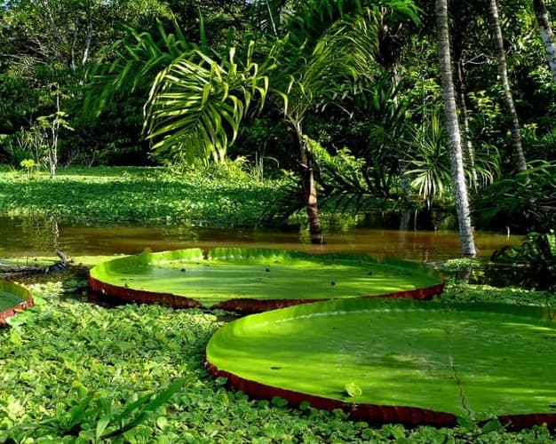 Obraz - Eco Adventure 4D / 3N