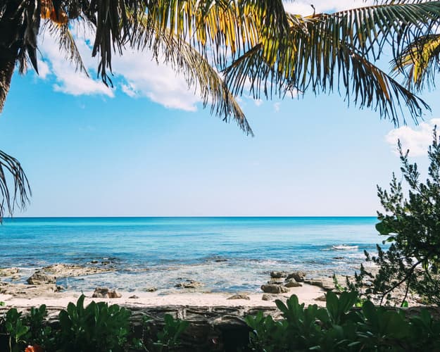 Image - 5 Nights | Asia and Asia Pacific | MSC Cruises: MSC Bellissima | Jan 02, 2026