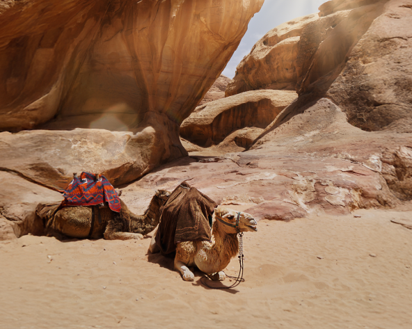 Immagine - MTPE-20029 EXPLORANDO JORDANIA