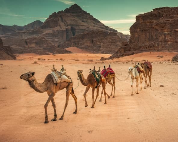 Image - MTPE-20035 MELODÍAS DE JORDANIA II