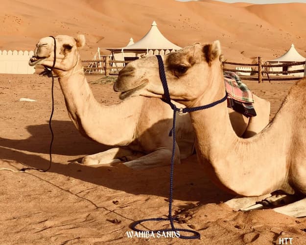 Image - Wahiba Sands, Wadi bani khalid: Desert & Wadi tour