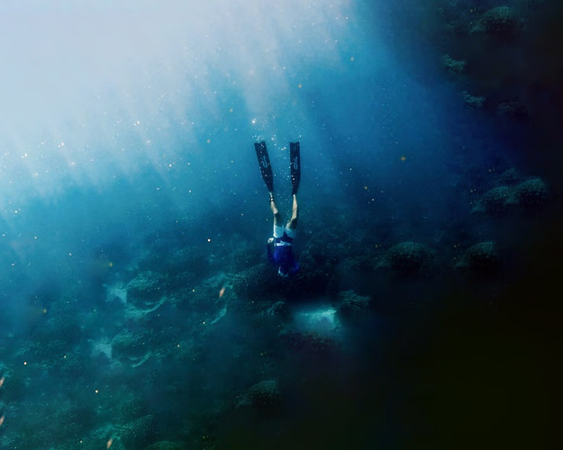 Image -  PADI Freediving Experience
