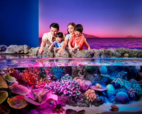 Imagine -  1 Iunie - Descopera cu familia Bangkok & Koh Samui, Thailanda