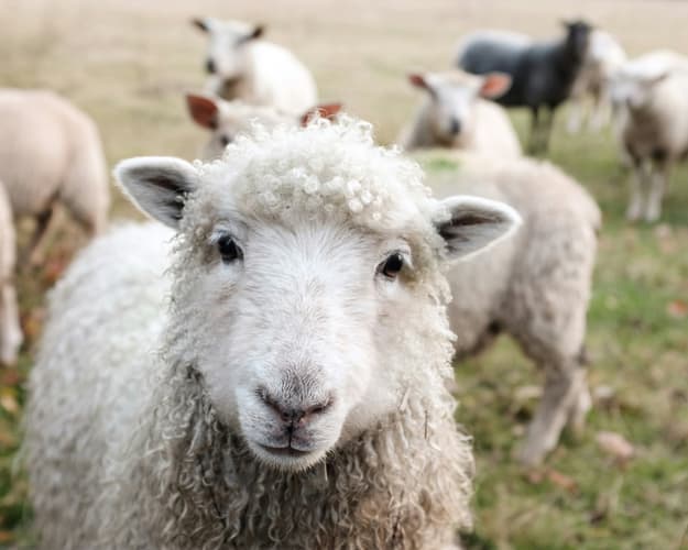 Immagine - Irlanda dell'ovest tour in 7 giorni