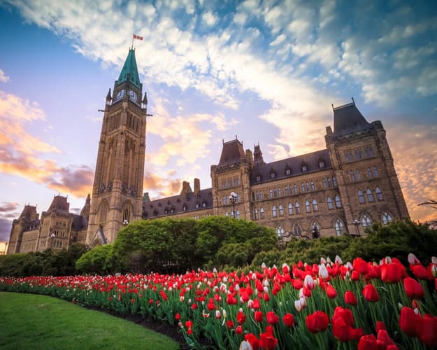 Imagen - Ottawa Tulip con Toronto y Montreal 2026