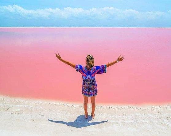 Imagen - TOUR LAS COLORADAS Y RÍO LAGARTOS PARA TU VIAJE A MÉRIDA