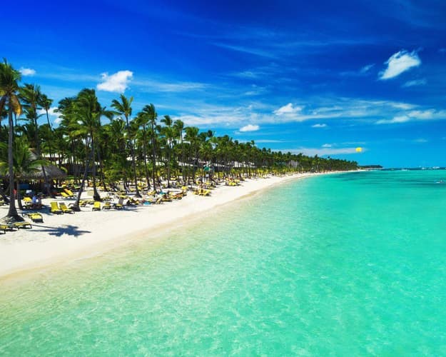 Immagine - GoFar Tribe - Lost in paradise