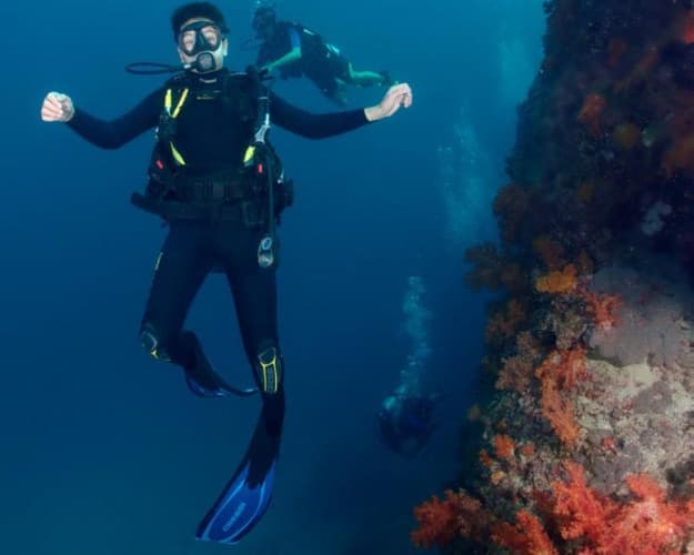 Image - Dive Trip To Daymaniyat Islands with full Equipment 