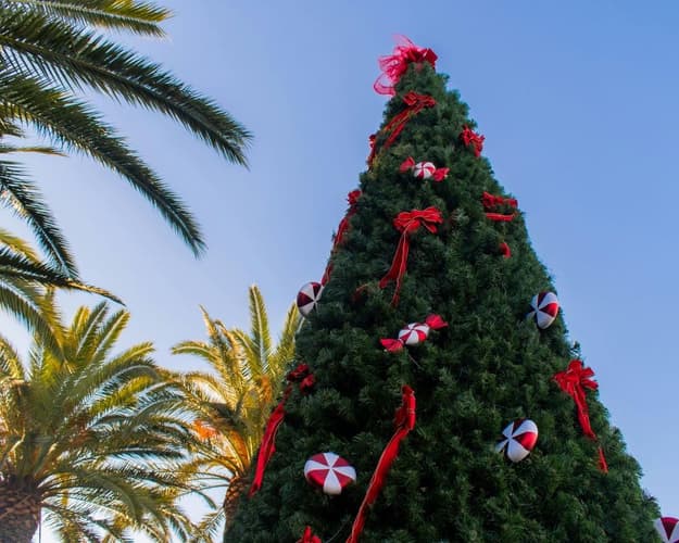 Bild - Yucatan: Speciale Natale e Capodanno