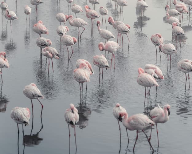 Image - Mete imperdibili della Namibia