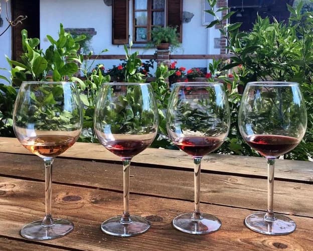 Image - WEEKEND IN CANTINA "FONTECHIARA" (BORGOMANERO): TRA VINO E RELAX