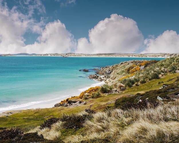 Imagen - Malvinas Clásico 